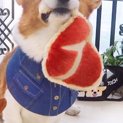 Brand New Dog Toy T-Bone Steak 10” Plush $6