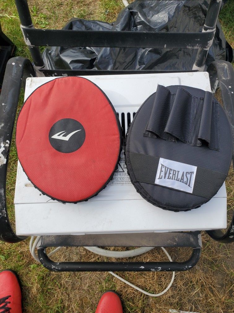 Everlast Punch Mitts