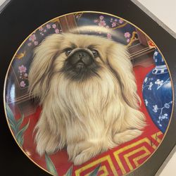 Collectible Dog Plate