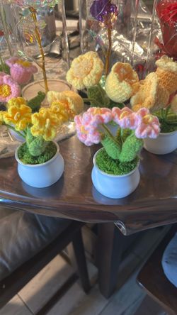 Small Crochet Flower Pots