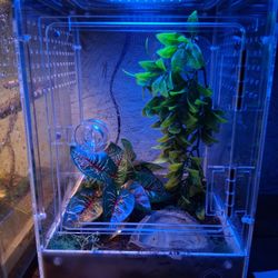 4.5 Gallon Terrarium