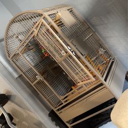 Bird Cage 