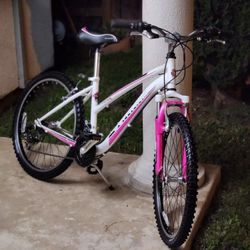 24"×15" Front Suspension Mountain Bike 