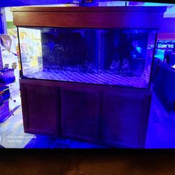 240 Gallon Aquarium With Stand And Canopy With Sump Included