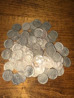 Buffalo Nickel collection (Over 80 Nickels).