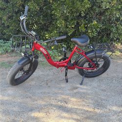 Electric Bike 