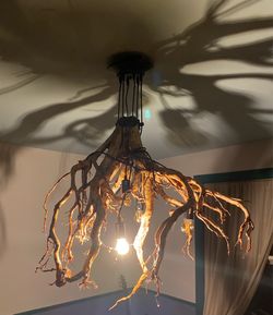 Tree Root Ball Chandelier
