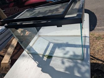 10 Gallon Tank (Not for Aquariums)