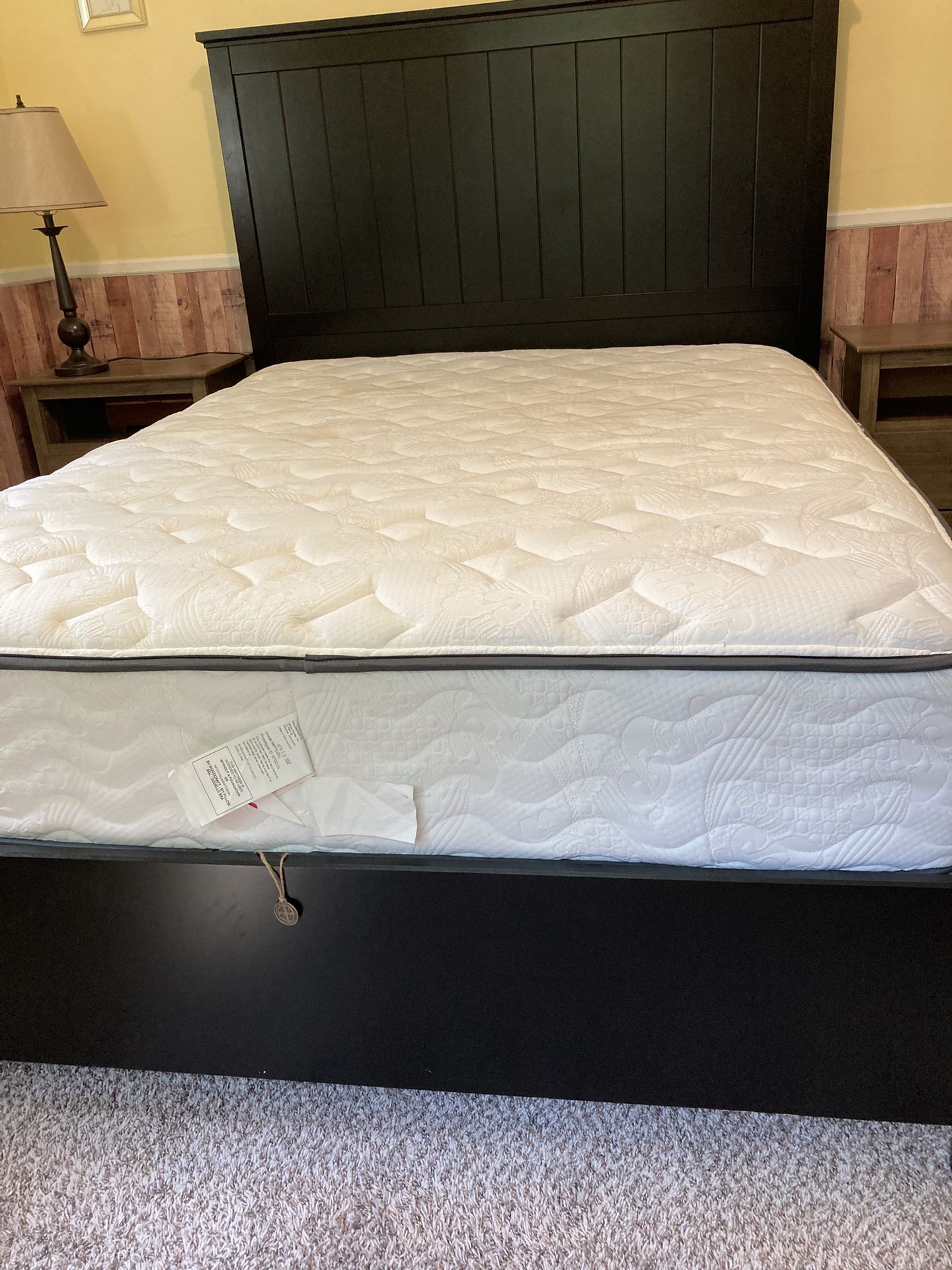 MyPillow 2-Sided Encased Coil Quilted Mattress
