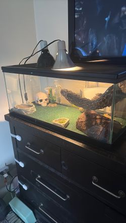 Reptile tank for sale