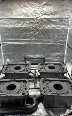Complete RDWC hydroponic system 250