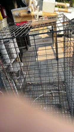 Large Dog Kennel