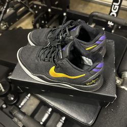 Kobe 8 5youth