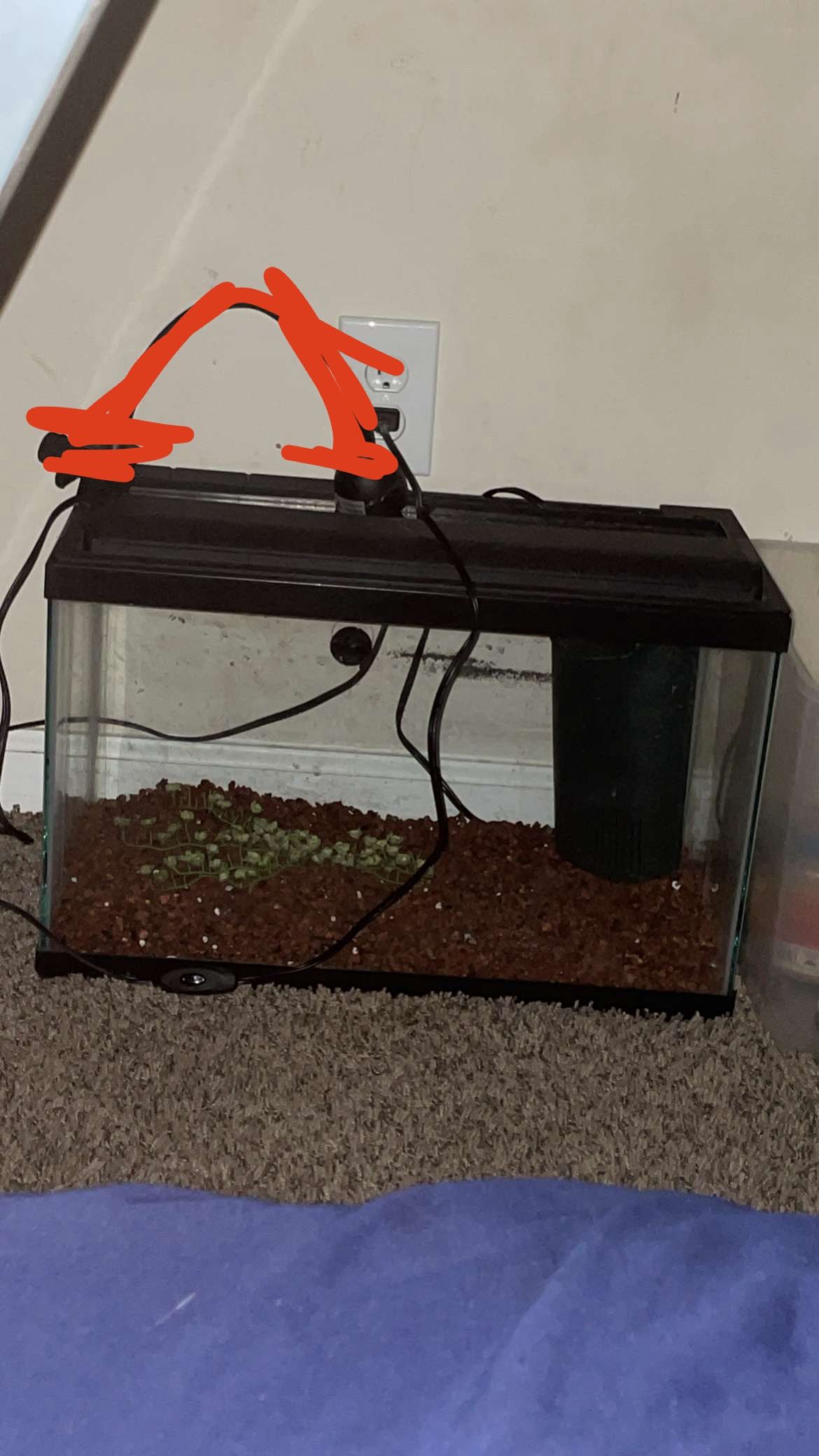 Fish Tank 