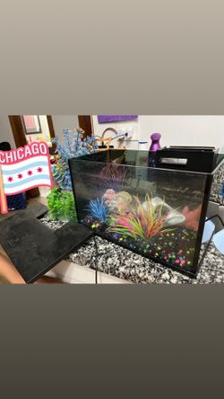 5 gallon glow fish tank