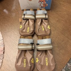 Dog Boots 