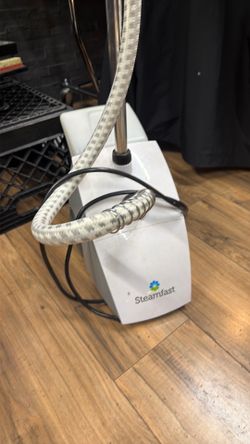 Vapor steamer