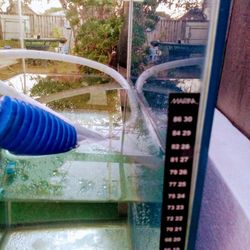 Aquarium Tank
