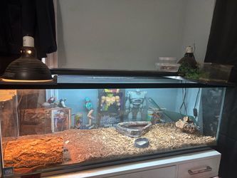 80 gallon bearded dragon tank reptile tank Terrarium 80 gallon tank