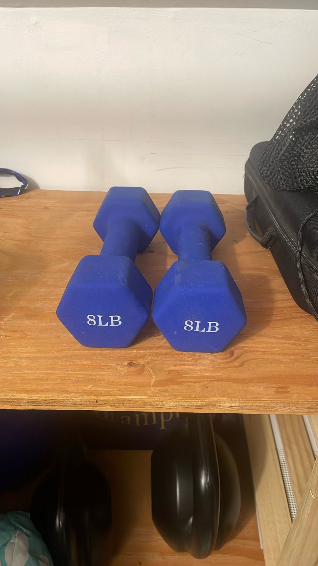 8lb Dumbbells