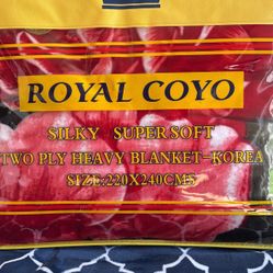 Silky Super Soft Two Ply Blanket 