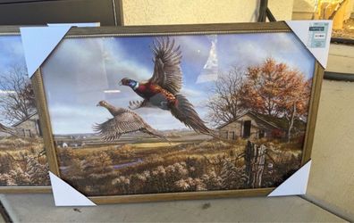 2 for $30 Beautiful Picture Frames 16in x 24 in