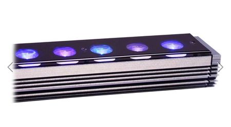 Aquarium LED Light 24"