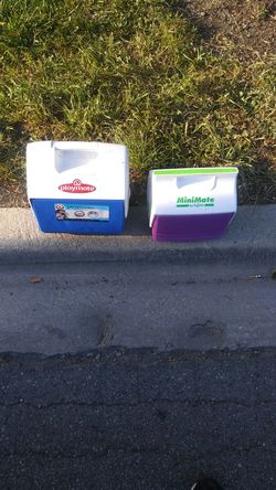 Two small lunch coolers