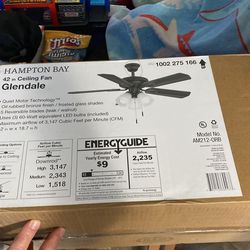 Hampton Bay Ceiling Fan (black)
