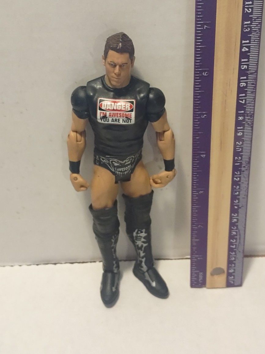2012 WWE The Miz Action Figure