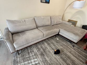 Light gray sectional couch