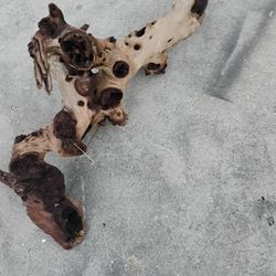 Two Pieces Of Aquarium Driftwood 
