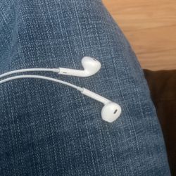 Apple Headphones 