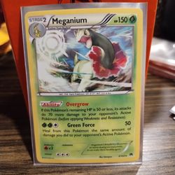 Meganium 3/122