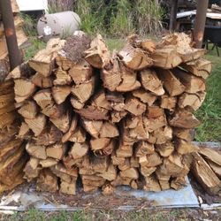 Firewood Seasoned Oak