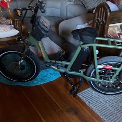 Electric Bike. Rad Power Bike 