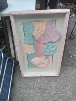 Show Case With Shells