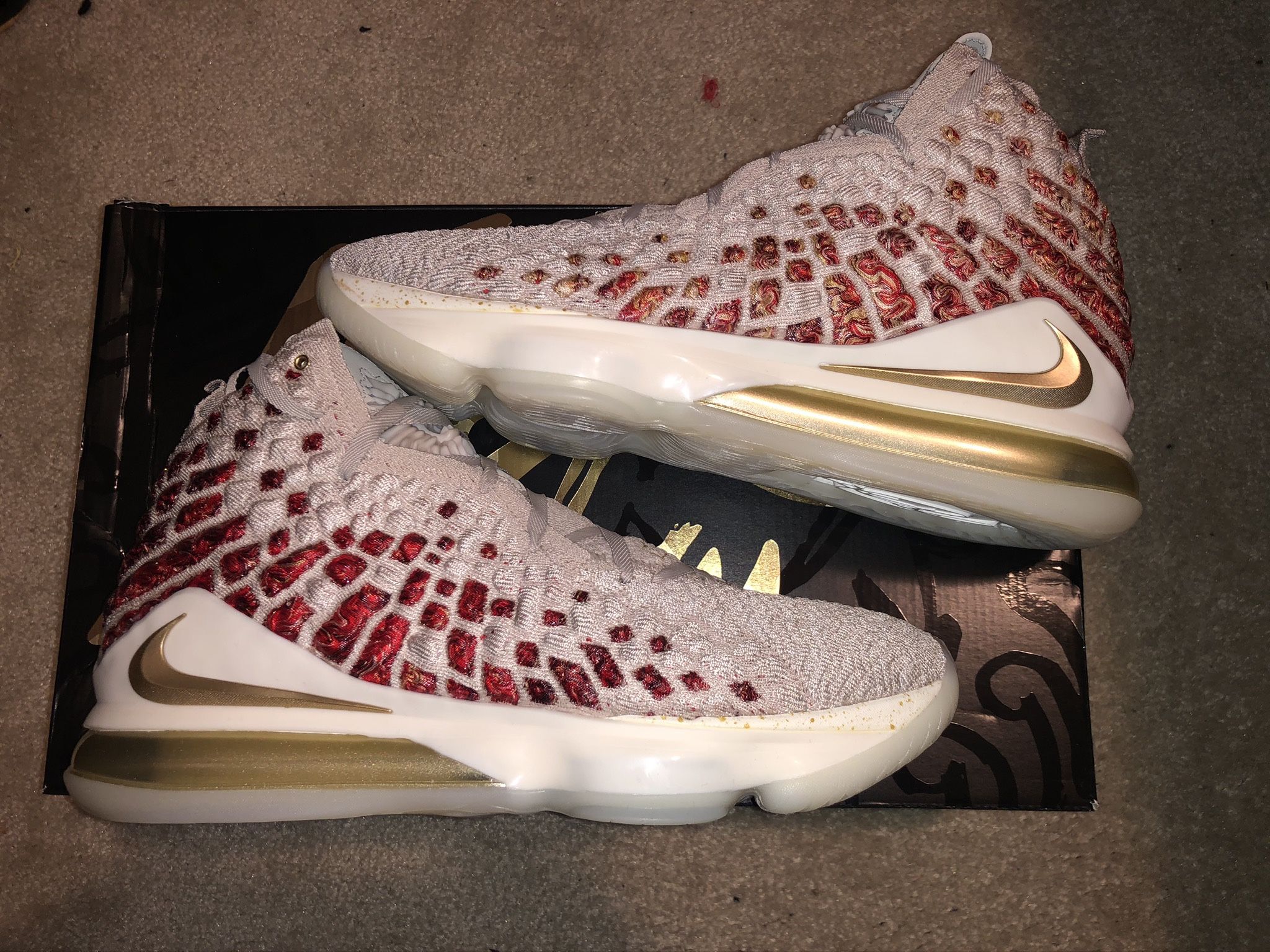 Brand New Nike LeBron 17