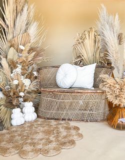 Photo Setup $375 + Delivery|setup|cleanup