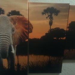Elephant Artwork