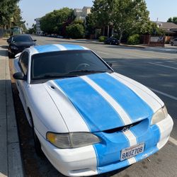 Mustang For Sale