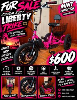 Electric Trike
