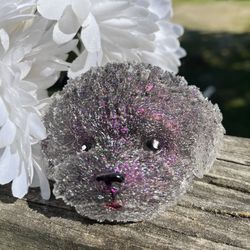 Hoochiepoochie Is Up For Adoption 