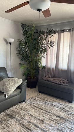 Fake plant