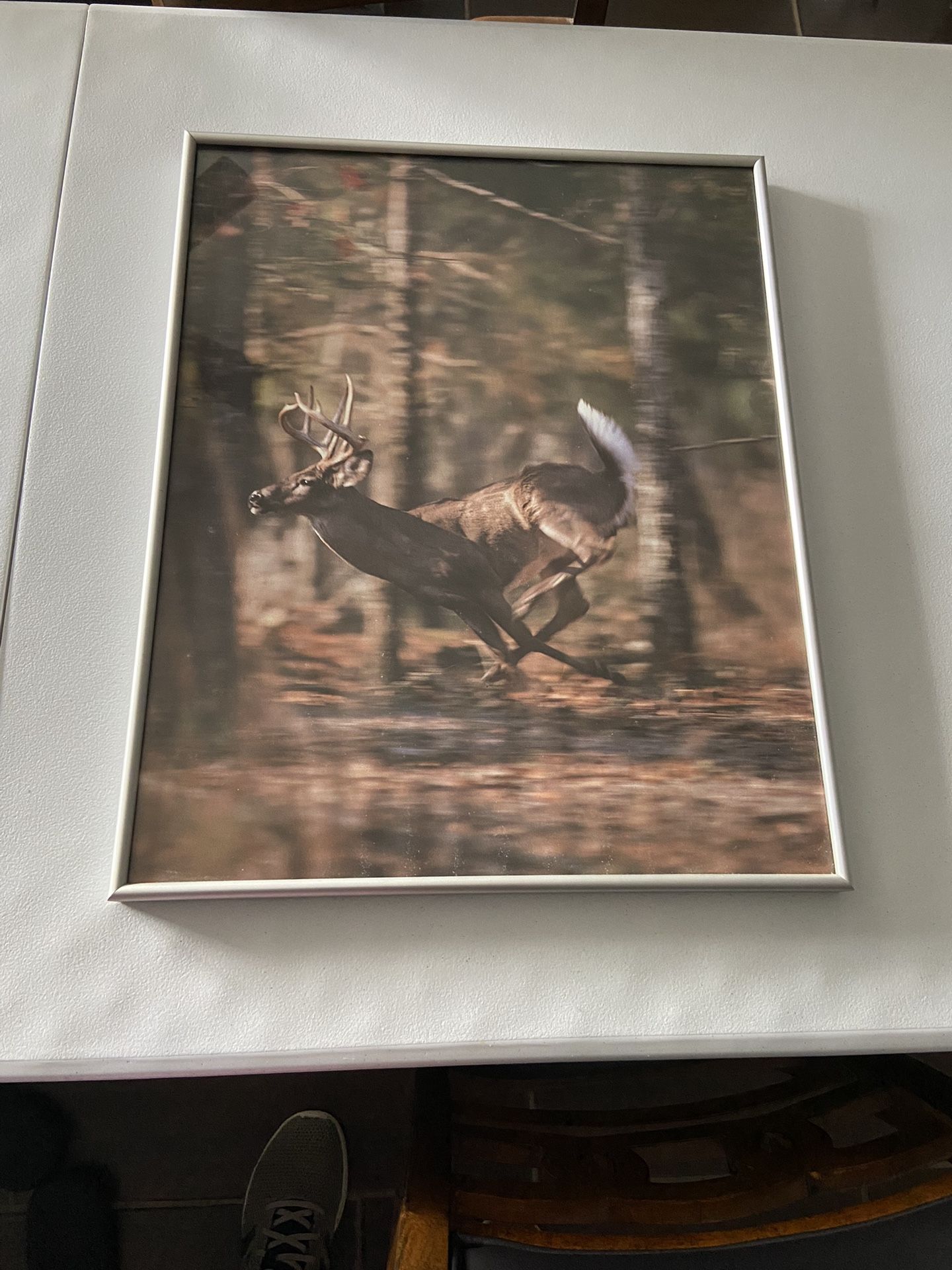 Deer Picture Framed