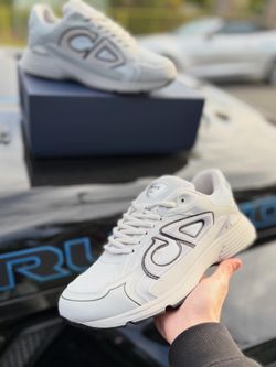 Grey Dior b30s