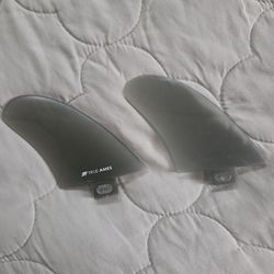 True Ames canard fins