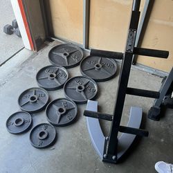 Olympic Weights with Stand