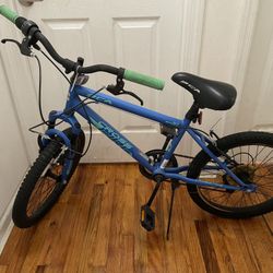 20 In Boys Bicycle