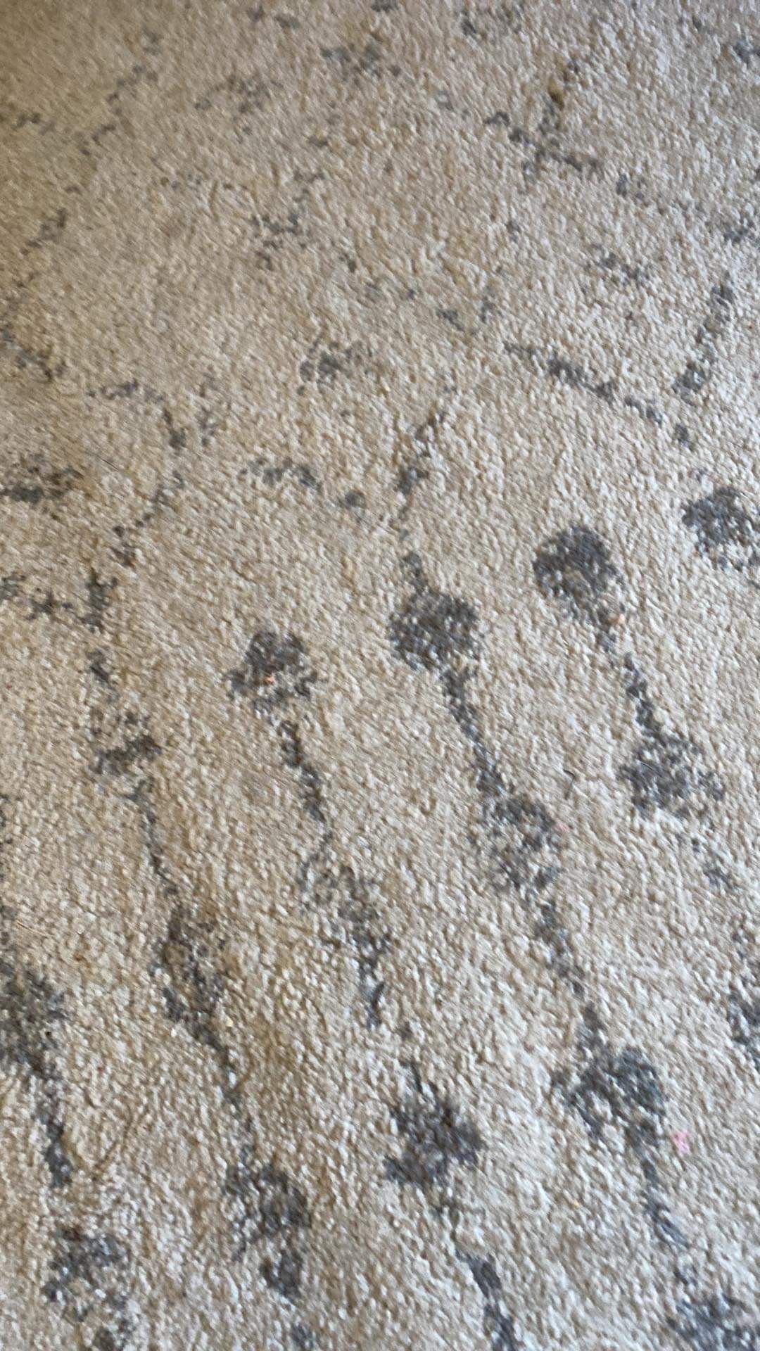 Gray/cream Geometric Rug 9x12 75 for Sale in Arlington, TX OfferUp